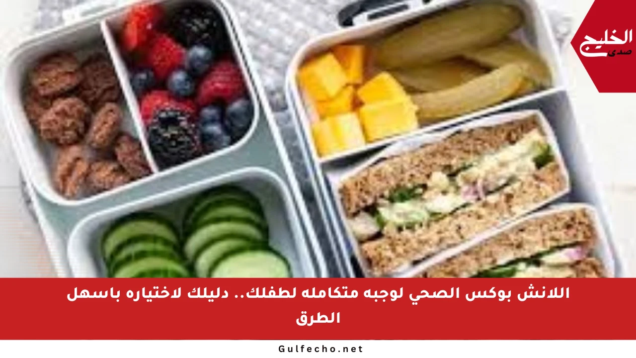 اللانش بوكس الصحي لوجبة متكاملة لطفلك.. دليلك لاختياره بأسهل الطرق